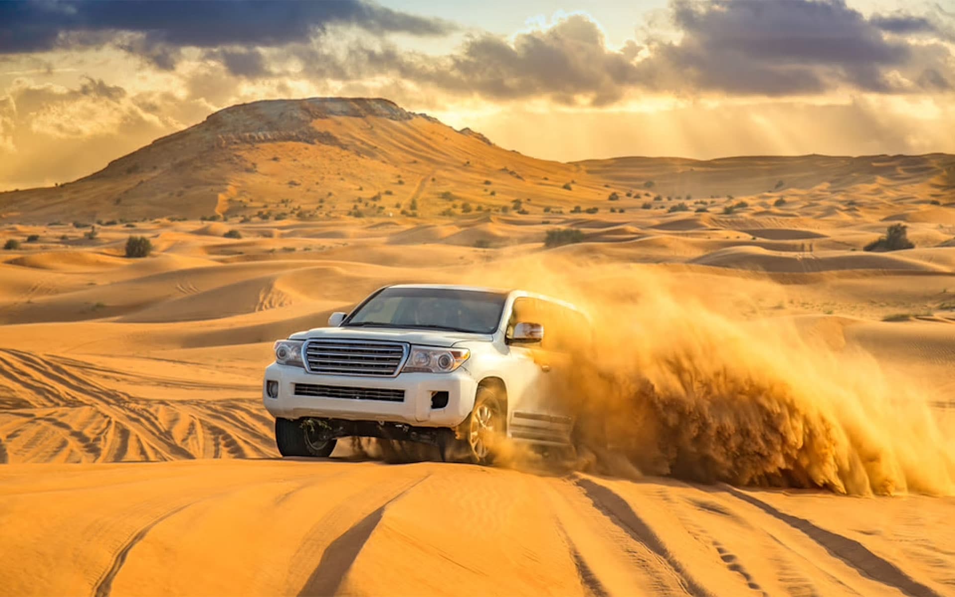 Premium Desert Safari